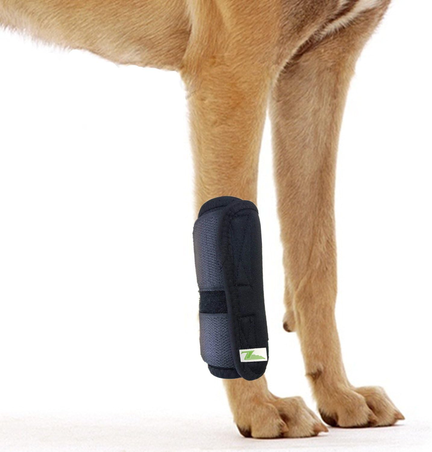 Dog Front Leg Joint Brace Heals Hock Wrap Sleeve for Canine (S/M, Black)