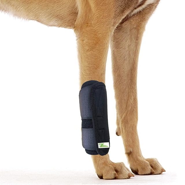 RockPet Órtesis Curadora Articulación Pata Delantera de Perro Envoltura Canina de Corvejón (S/M)