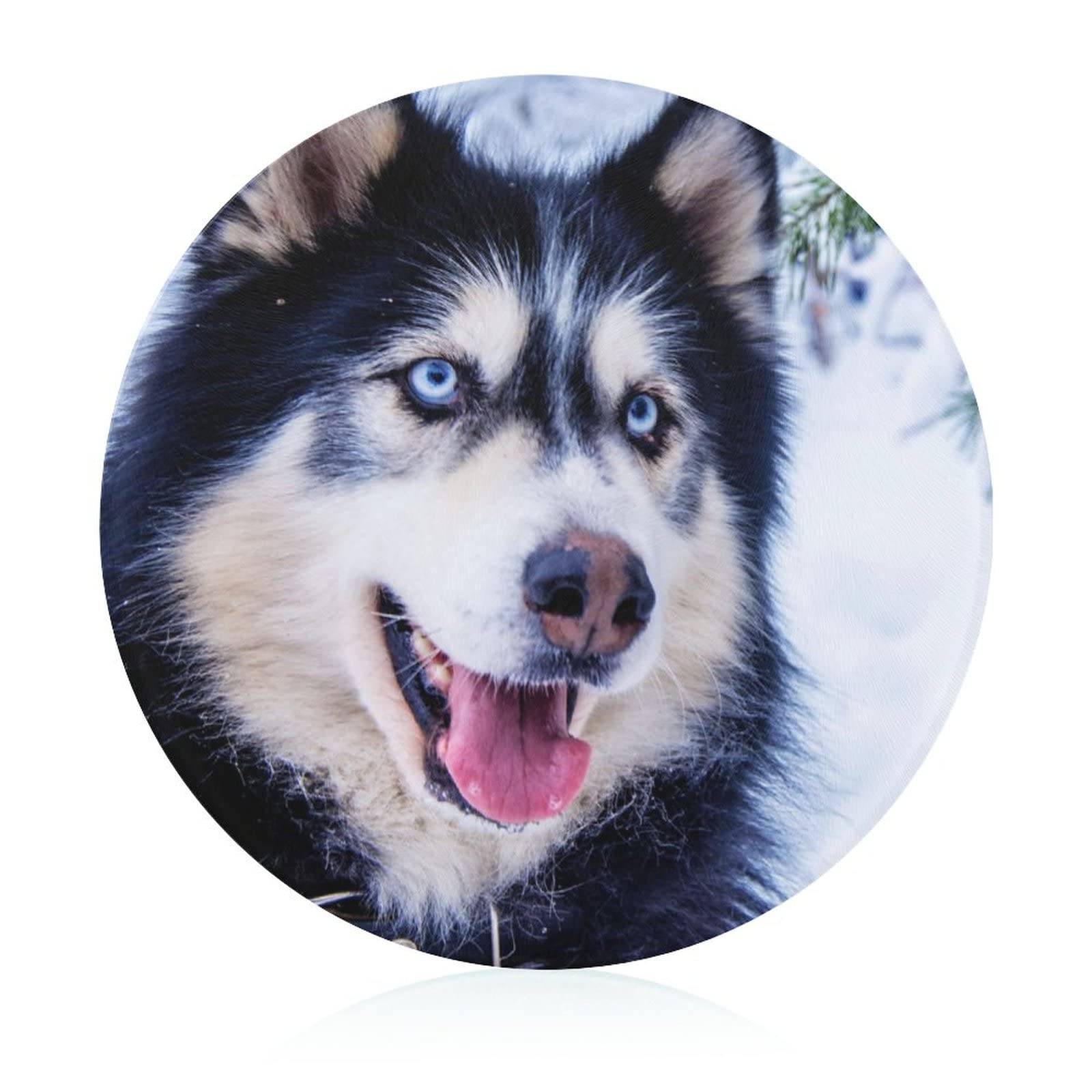 Plaque de cuisine en verre trempé Husky 20 cm avec base antidérapante haute protection