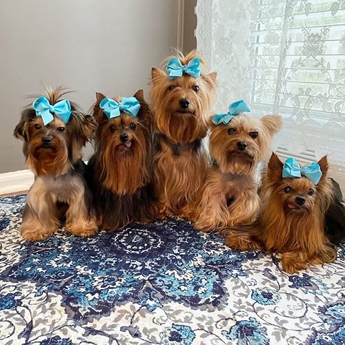 Miniatura 3 de Almohadillas lavables para orina para perros  Almohadillas de entrenamiento reutilizables súper absorbentes  100% impermeables, a prueba de fugas y