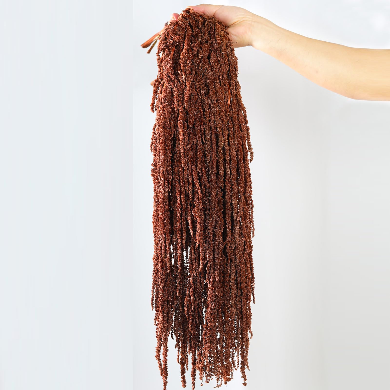5Pcs Dried Amaranthus Hanging Flowers, 23" Brown Preserved Natural Wisteria for Wedding Arch, Fall Thanksgiving, Table Centerpiece, Wall Hanging Lover Tears, Floral Arrangement, Farmhouse Decor-image-7