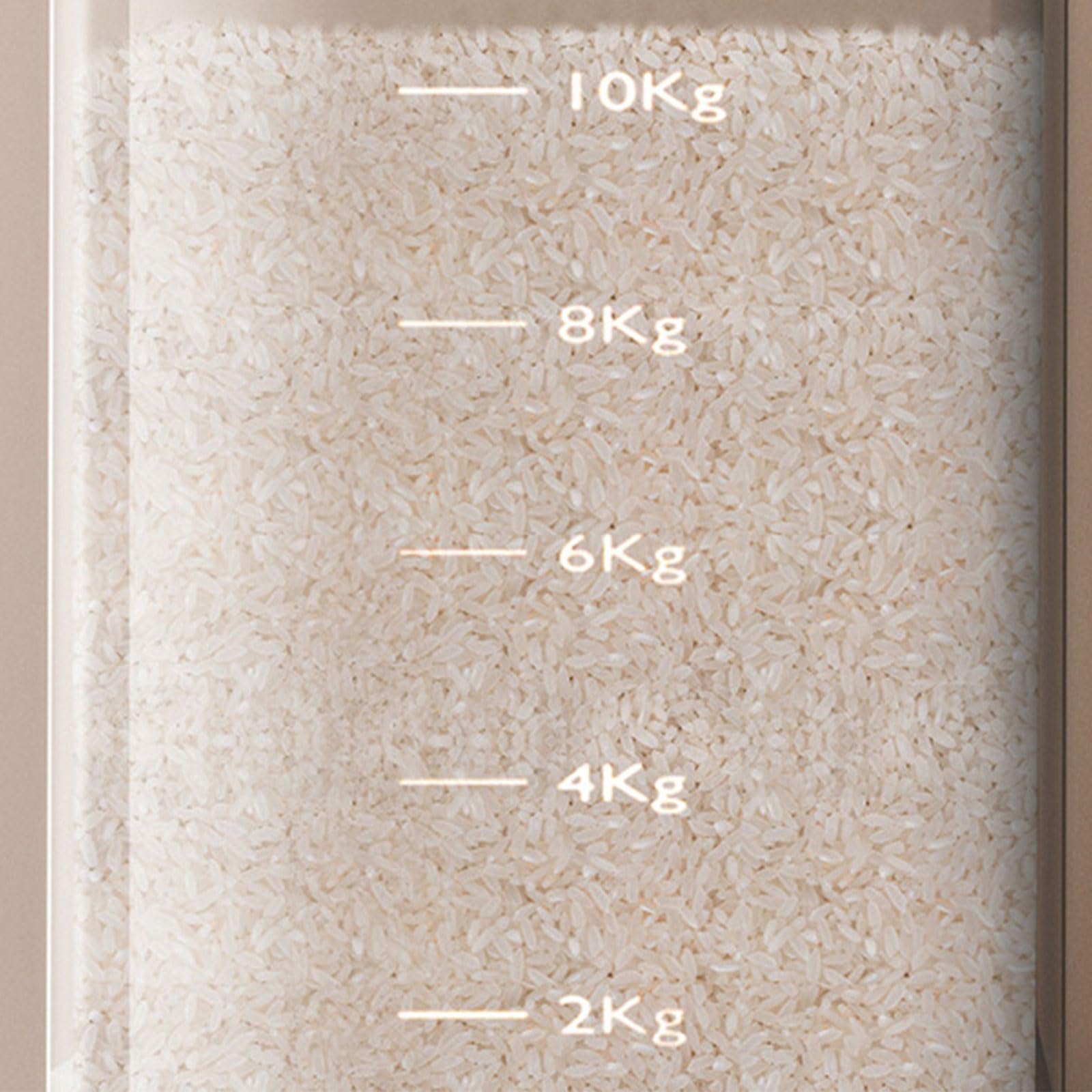 Scatola Stoccaggio Cereali in Plastica Decorazione da Cucina Limpida per La Decorazione Pressata per La Casa E Ristorante Utilizzare Un Ristorante Bianco