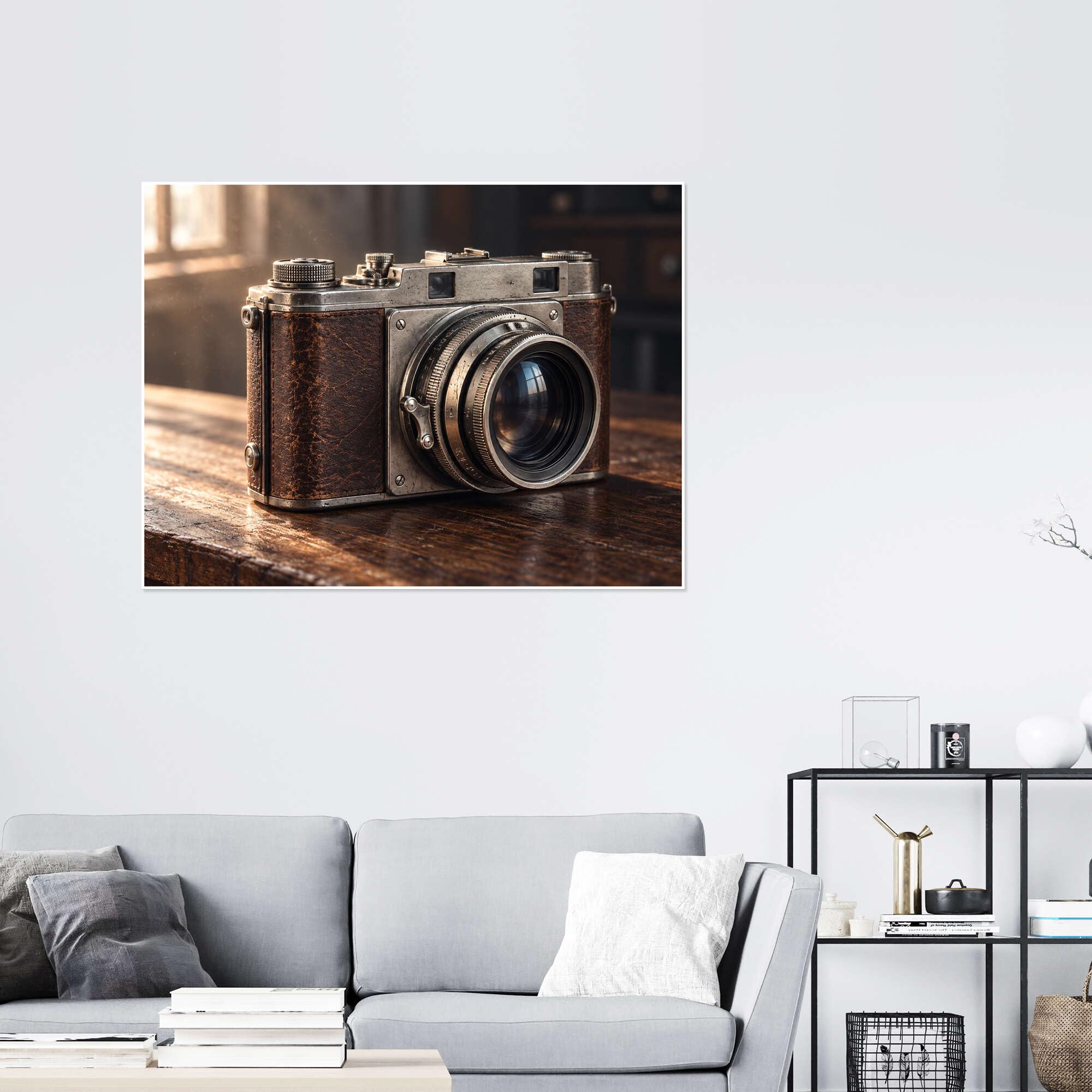 Analog camera Plakat