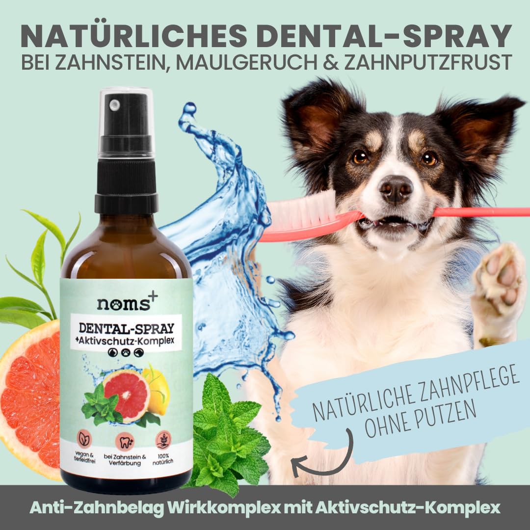 noms+ Dental-Spray für Hunde & Katzen [Jahresvorrat] Spray entfernt Zahnbelag 100% natürlich, gegen Zahnstein, Mundgeruch, Plaque zur Zahnreinigung & Zahnsteinentfernung - frischer Atem