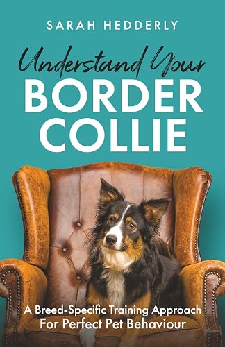 Understand Your Border Collie: A Breed-Specific Training Approach for Perfect