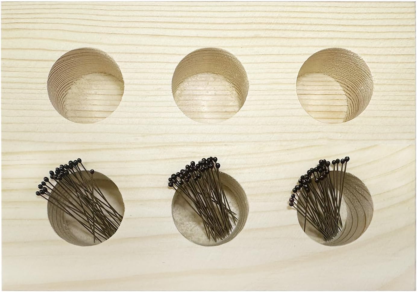 Insect Pins Storage Container for Specimen Pins, Entomology Pins, Butterfly Collection Needles for School Lab (pins not included)