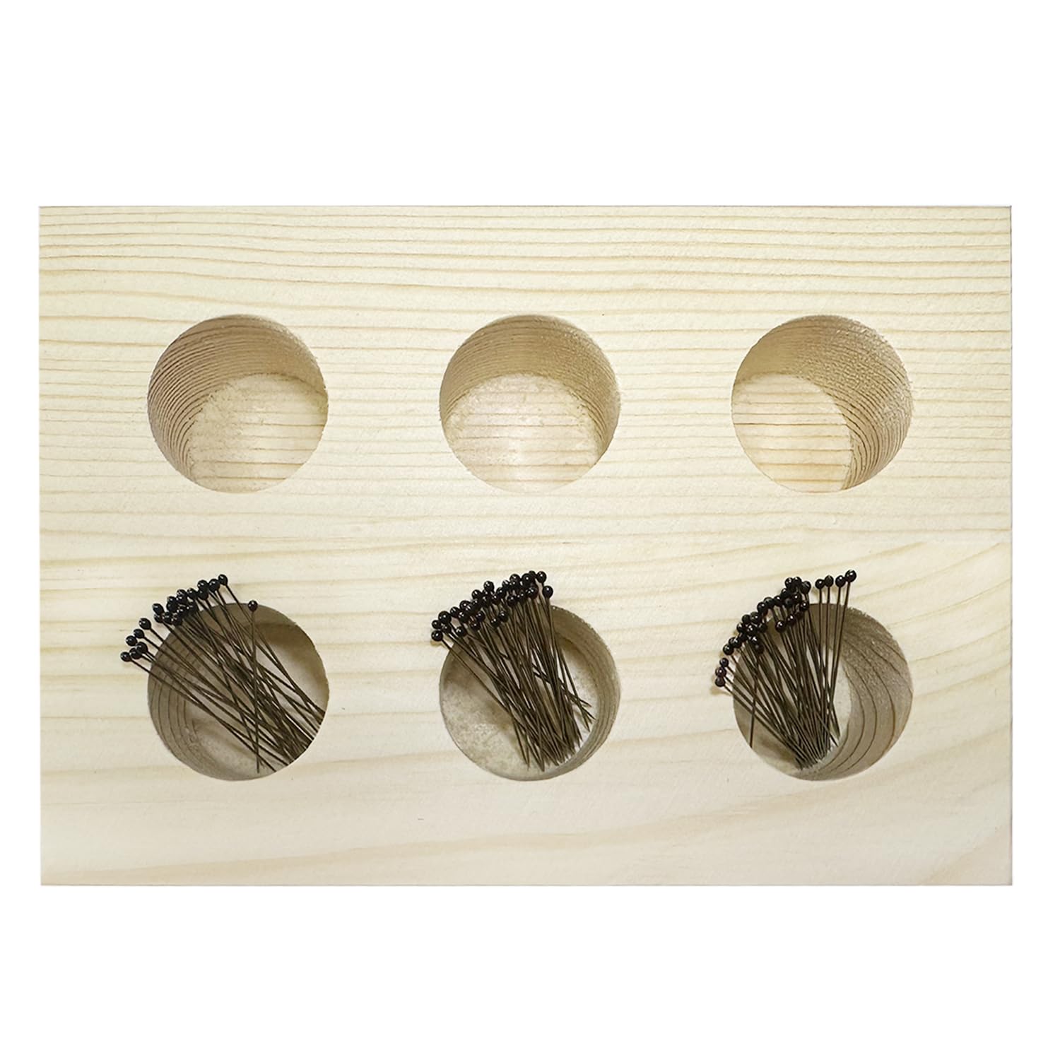 Insect Pins Storage Container for Specimen Pins, Entomology Pins, Butterfly Collection Needles for School Lab (pins not included)