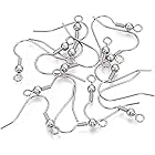 Hicdaw Hypoallergenic Earring Hooks 2500Pcs Earring Making