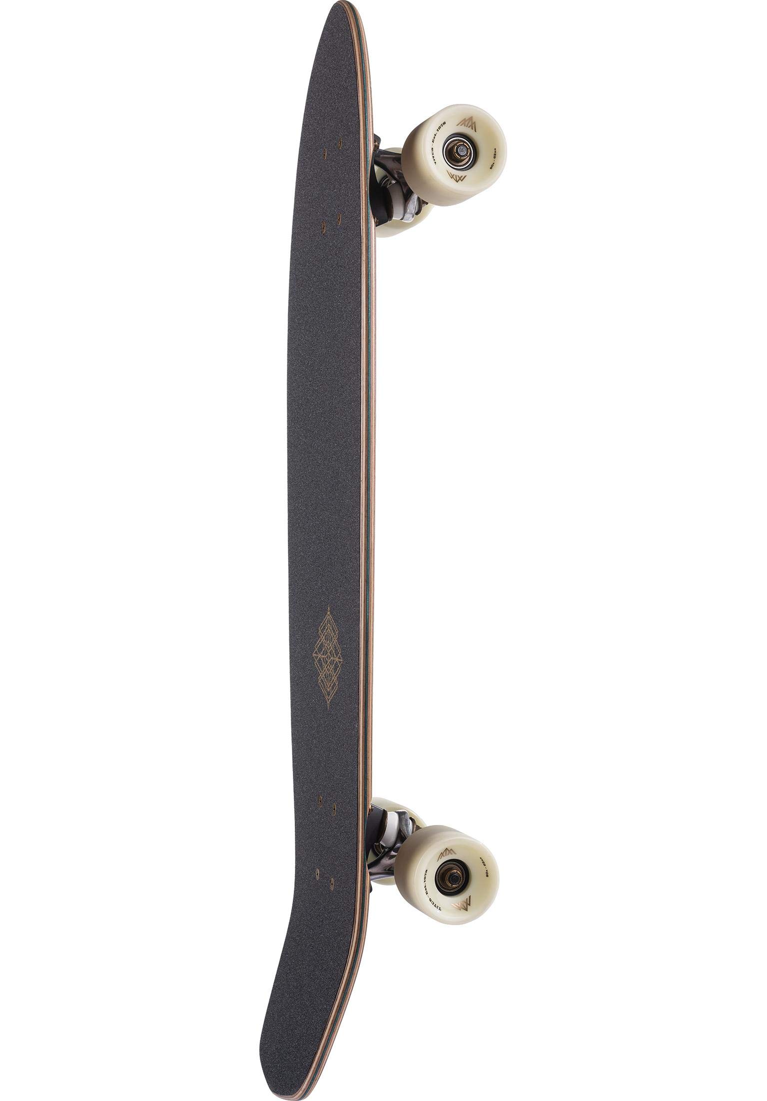 TITUS Ornament TM 31.125 Cruiser Mixte Adulte, Cruiser, Adulte (unisexe), Noir/marron/doré, 8.25
