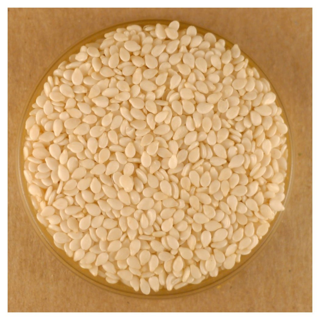 Sesame Seeds, White - 25 lbs Bulk