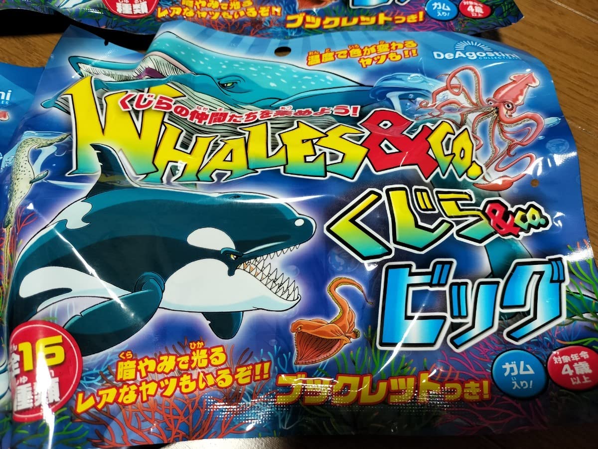 ＊サメ・クジラ　オーダー受付中＊ サメ・クジラ オーダー受付中＊ サメ・クジラ オーダー受付中＊