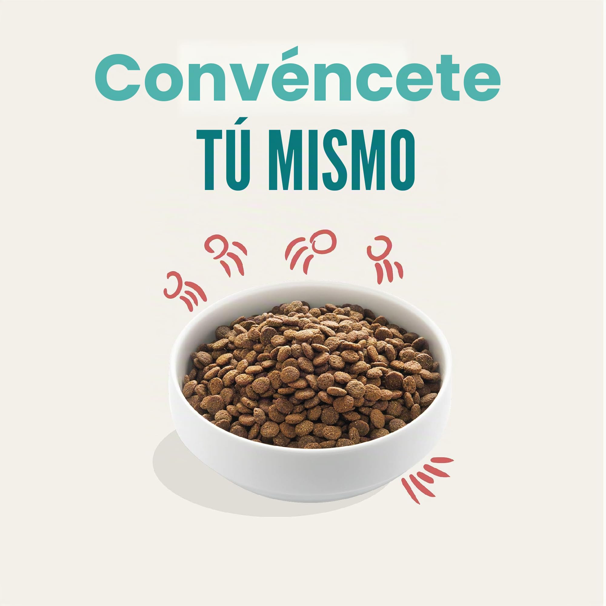 Edgard & Cooper - Comida Seca para Perros Senior (Pollo y salmón, 12 kg), Comida Seca sin Cereales sin azúcar, Ingredientes Naturales, Carne Fresca, Llena de aminoácidos
