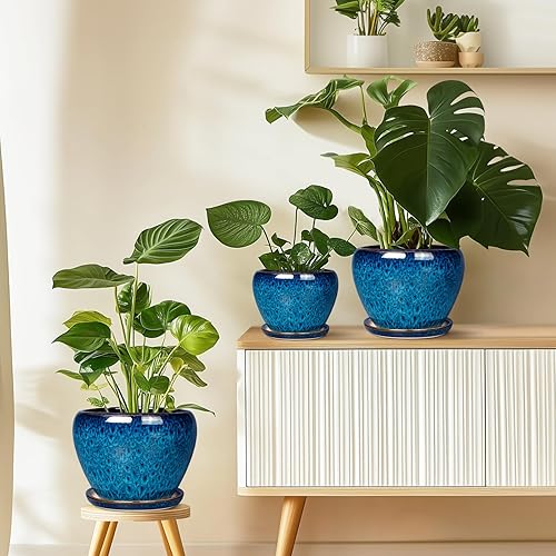 Miniatura 9 de Maceta de cerámica con orificio de drenaje y platillo, redonda, esmaltada, moderna, para suculentas, lengua de suegra (sansevieria), plantas de