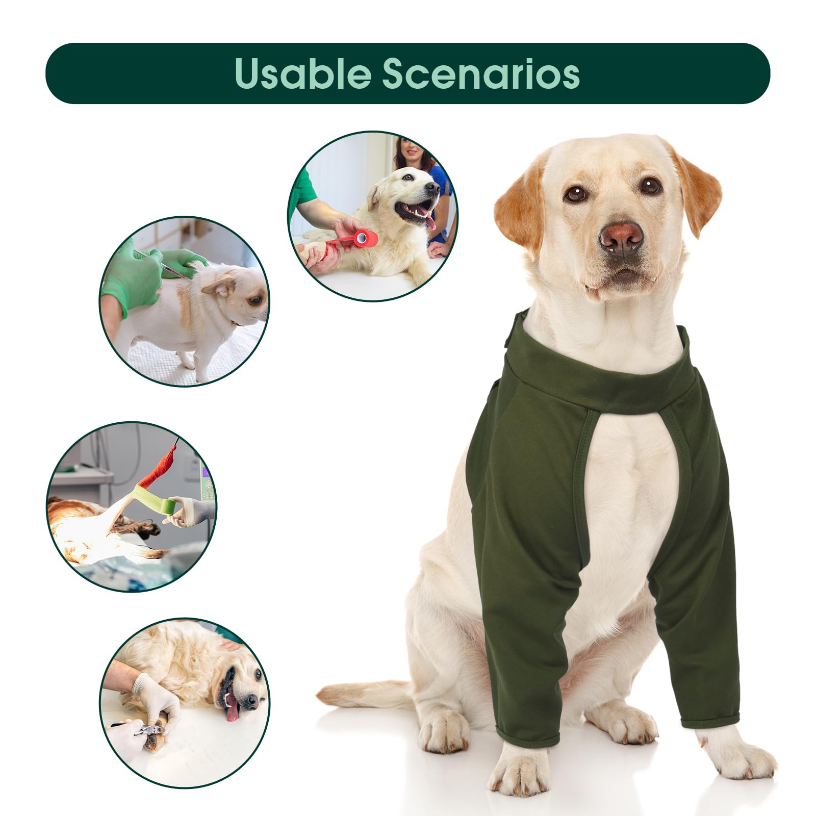 Kuoser Dog Surgery Recovery Suit for Front Legs Adjustable Dog Leg Brace Dog Elbow Protector for Post-Surgery Dog Leg Wound Protector Dog Recovery Sleeve to Stop Licking (Green - Image 3