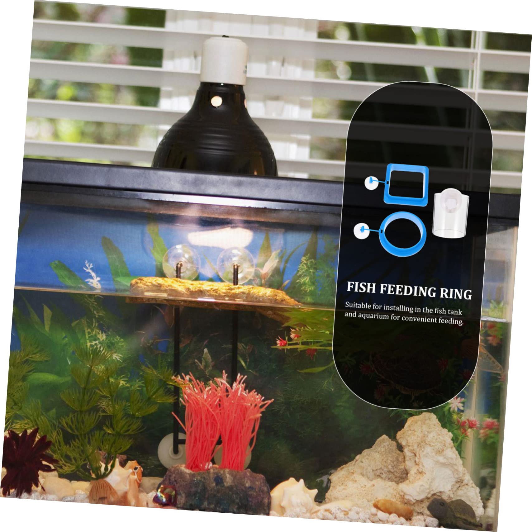 Happyyami 12stücke Fischfutterringe Schwimmende Futterringe Für Aquarien Wiederverwendbare Futterstation Für Tropische Fische Geeignet Für Flocken Und Schwimmfutter