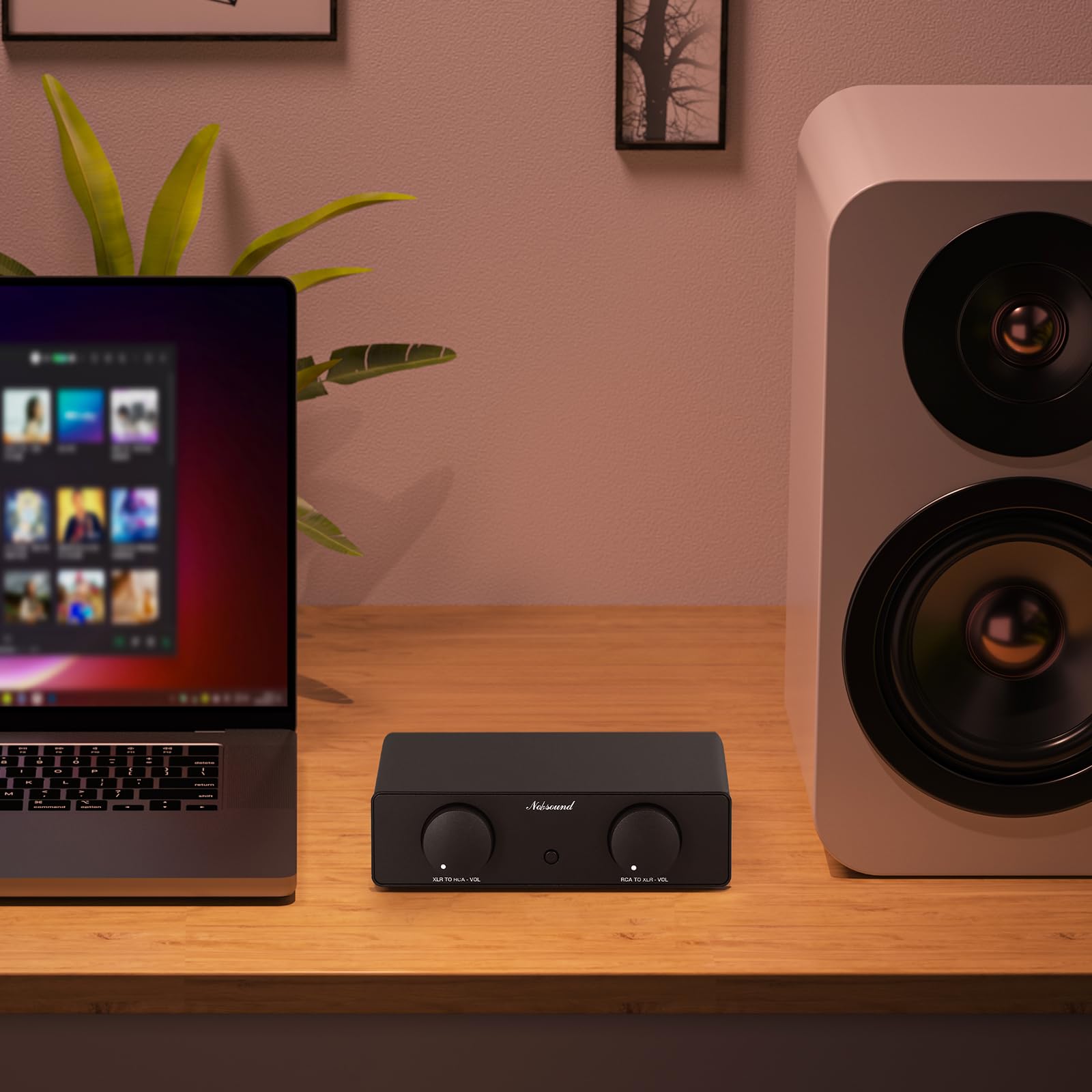 Nobsound Convertitore XLR RCA bidirezionale: adattatore audio bilanciato preamplificatore con doppie manopole del volume, elimina ronzio e rumore per monitor da studio, sistema Hi-Fi (NS-05P PRO)