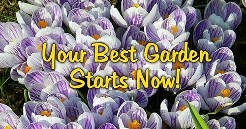 Miniatura 2 de Micronutrientes Spray-N-Grow SNG32, micro nutrientes de 1 cuarto de galón, concentrado