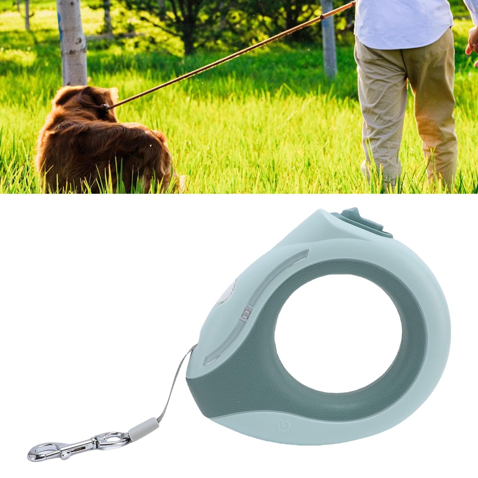 Laisse Rétractable pour Chien, Lumière LED Colorée, Réglage Automatique élégant pour Petits et Moyens Chiens, Conception Robuste (Verte)