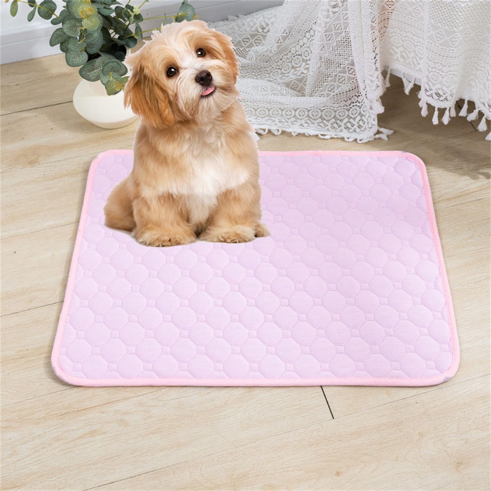 Lukery 2 Pack Washable Pee Pads for Dogs, Waterproof Reusable Dog Pee Pads Non-Slip Soft Pet Diaper Pads Fast Drying Puppy Training Pads for Home,Travel, Car (S(50 * 35cm),Light Pink)