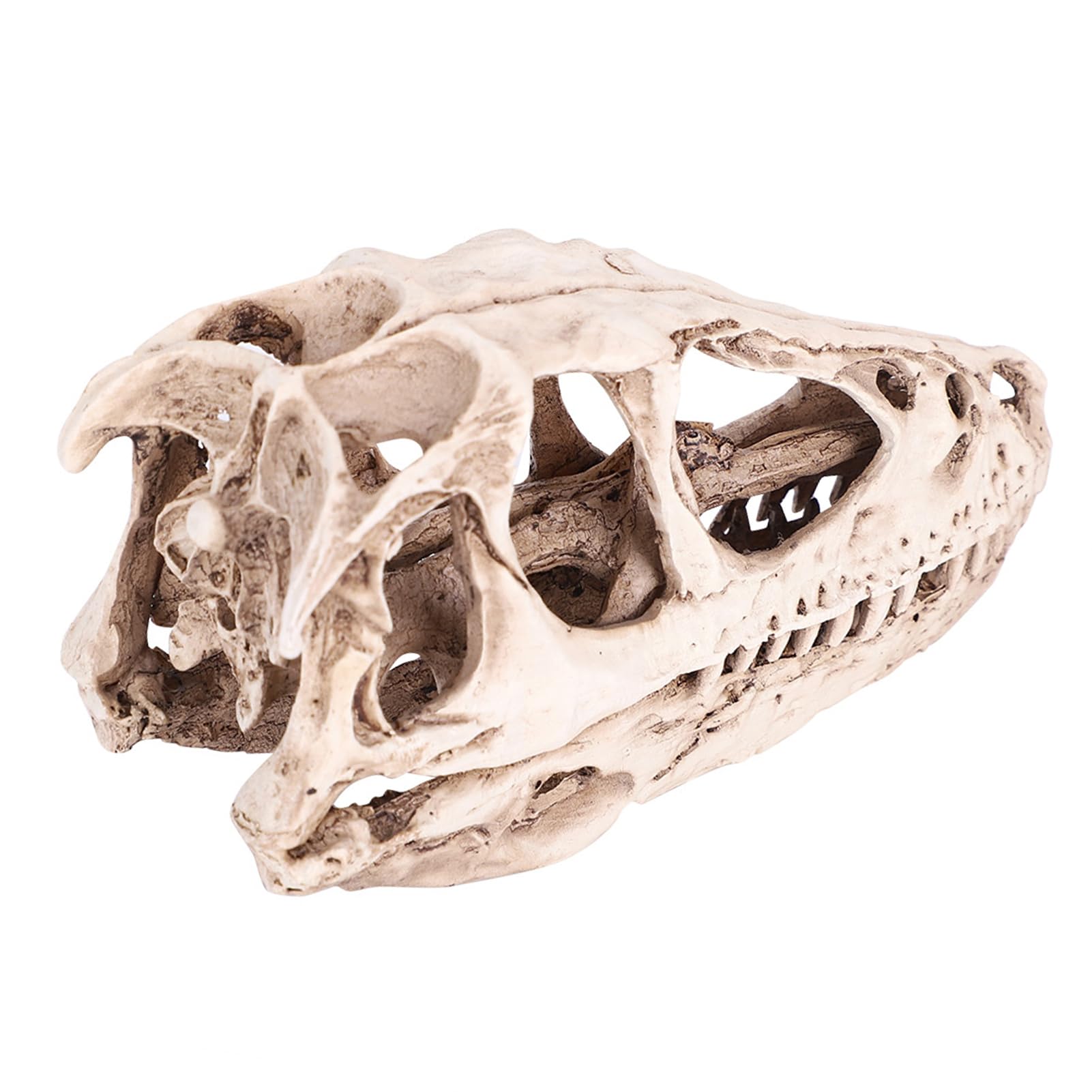 Srliya Grand Modèle de Crâne de Dinosaure 18 × 11 × 9, Modèle de Crâne de Dinosaure en Gomme, Simulation de Squelette d'animal, Décor Artisanal, Accessoire D'enseignement
