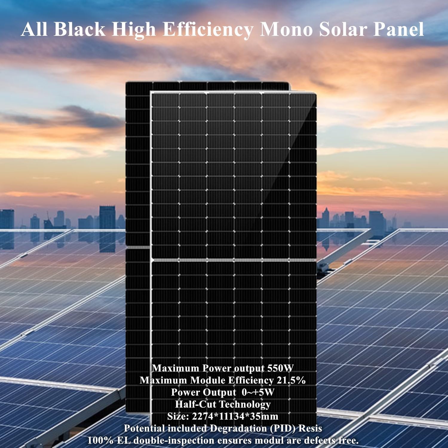 Two Dawnice all-black high-efficiency mono solar panels standing upright with a city skyline in the background.