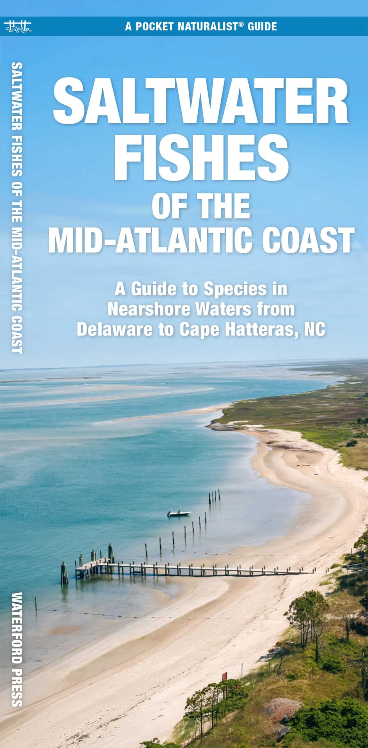 Saltwater Fishes of the Mid-Atlantic Coast: A Guide to Species in Nearshore Waters from Delaware to Cape Hatteras, NC (Nature Observation North America)