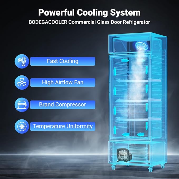 BODEGACOOLER Commercial Beverage Refrigerator and Cooler, 10.0 Cu.Ft Commercial Merchandiser Refrigerator with Soft LED Light, Commercial Fridge, Display Refrigerator with 240 cans & 120 bottles.