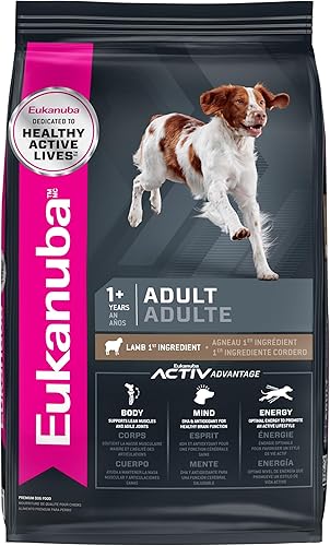 Eukanuba Adult, alimento seco para perro adulto