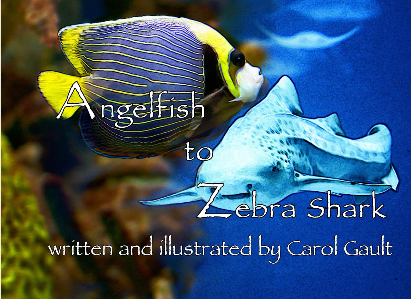 Angelfish to Zebra Shark (Animal Alphabets)