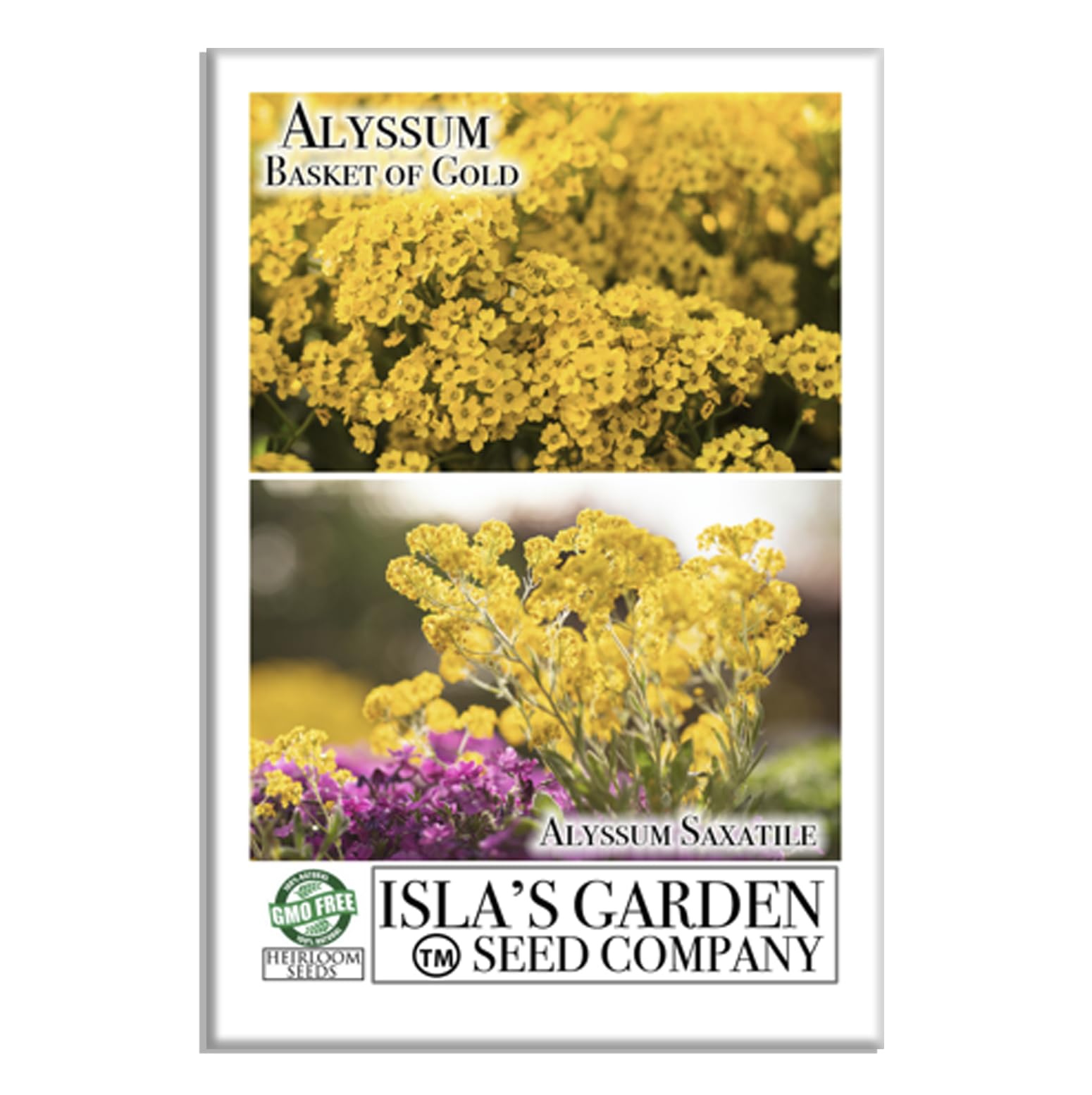 Amazon.com : Basket of Gold Alyssum Flower Seeds (Lobularia maritima)   500+ Seeds Per Packet by Isla's Garden Seeds, Low-Growing Golden Blooms,  Easy-Care Ground Cover, Edging Flowers, Home Flower Garden Gift :