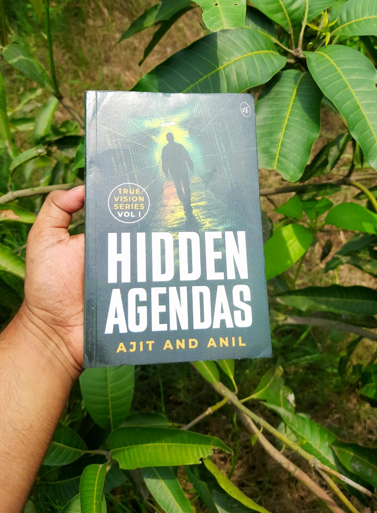 Hidden Agendas A True Vision Novel Inspired by Real Life Incidents(02)