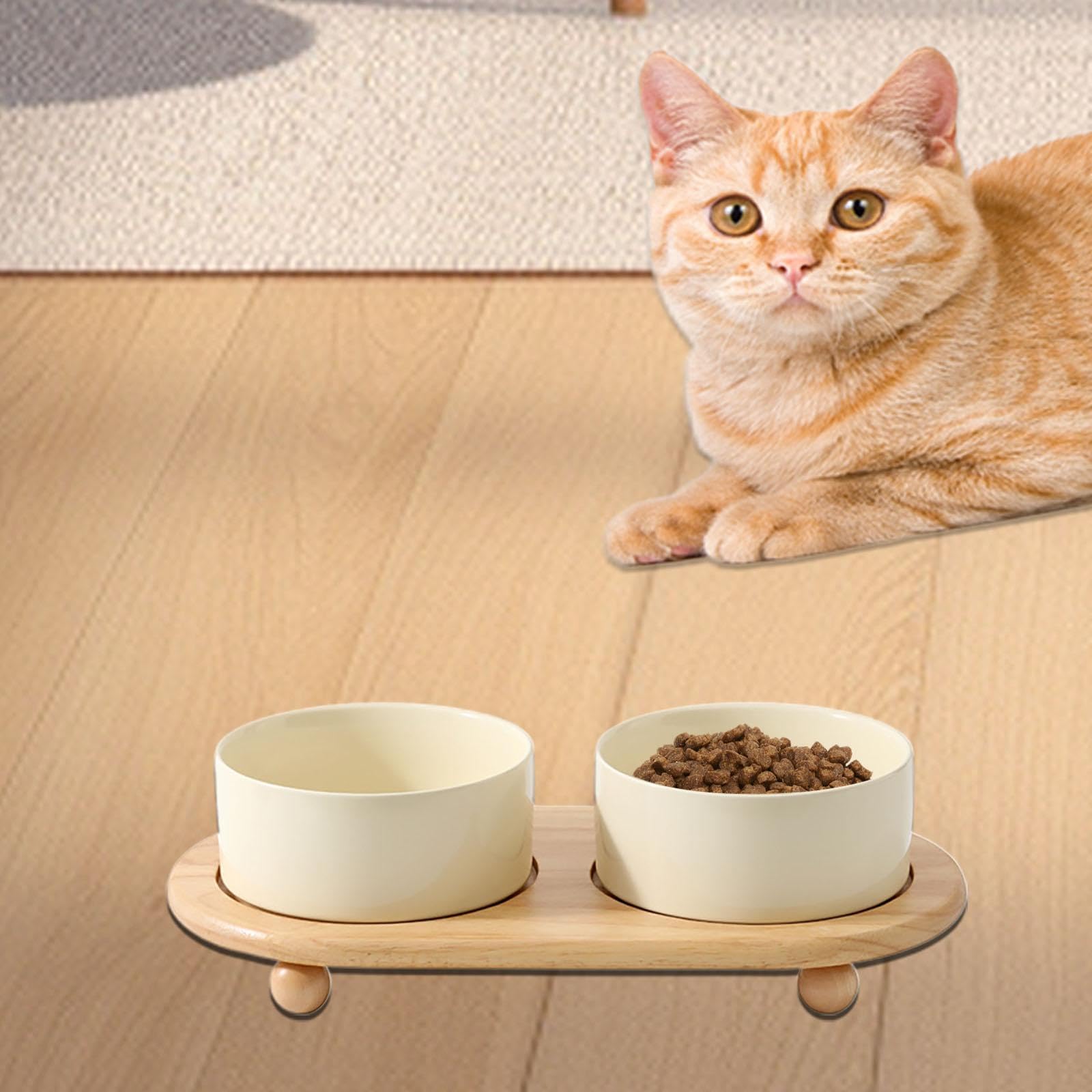 Ensemble de 3 Gamelles surélevées pour Chats avec Support, en Céramique. Structure Stable et Sûre, Idéale pour Les Petits Chats, Beige