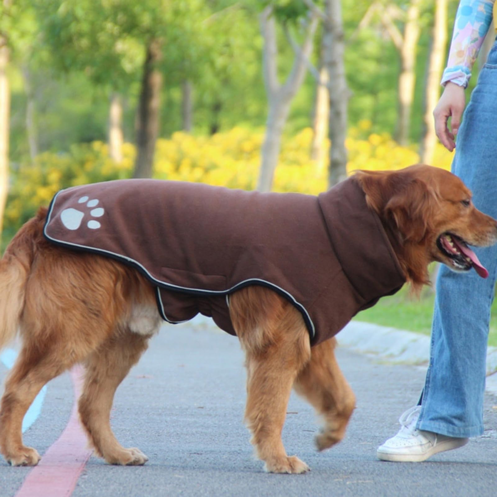 Vestiti per cani Media Size Abbigliamento per cani Pet Cold Weather Giacche Pet Fashion Gilet per passeggiate serali