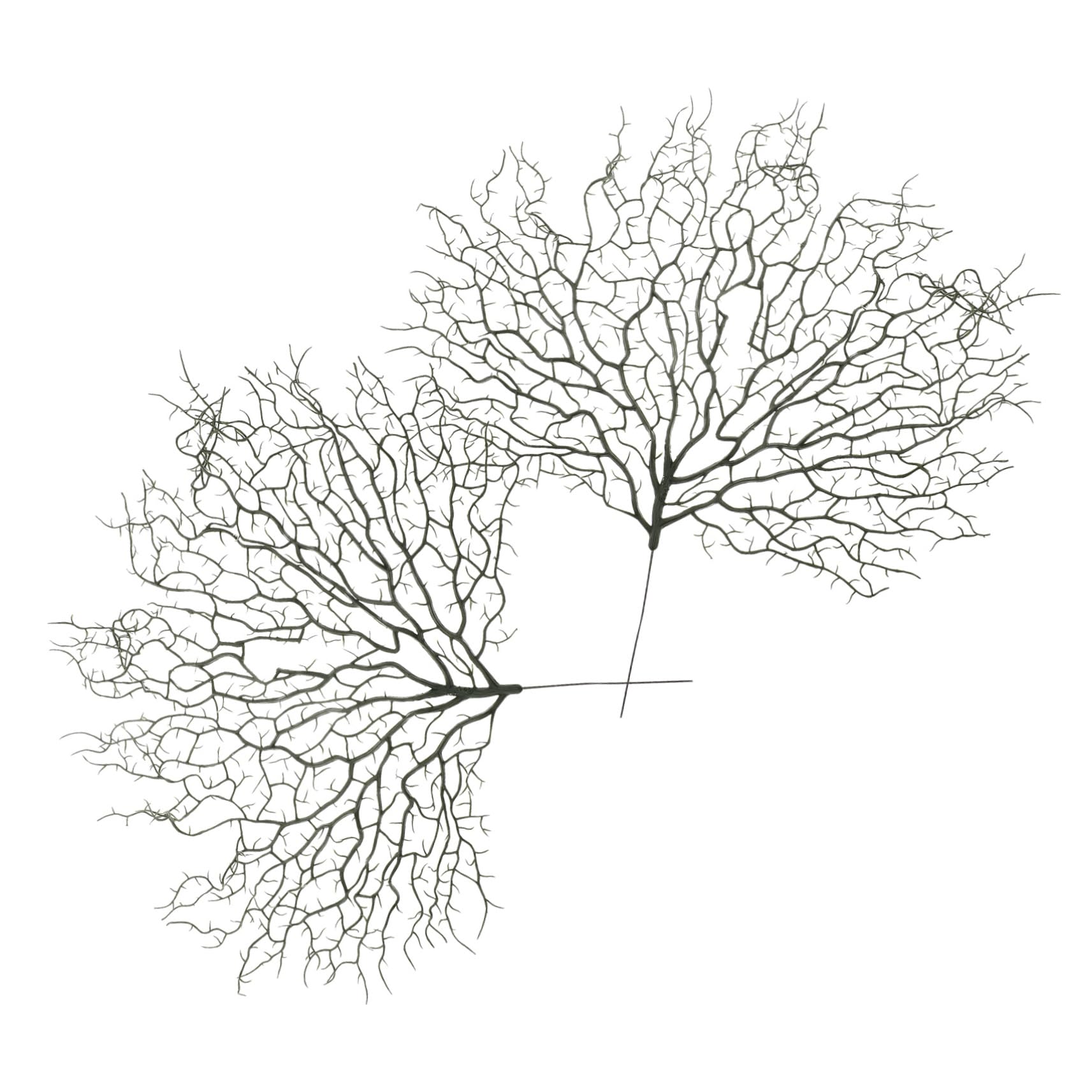 Levemolo Unique Design Artificial Coral Branches 2pcs Lifelike Fan Coral for DIY Craft Decorative Aquarium