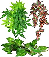Vista 1 de KATUMO Plantas de reptiles, 3 plantas colgantes de anfibios con ventosa para serpientes, dragones barbudos, lagartos, geckos, sapos, tanque