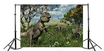 恐竜デザイン 写真額縁 41XL2X78QpL._UF894,1000_QL80_.jpg