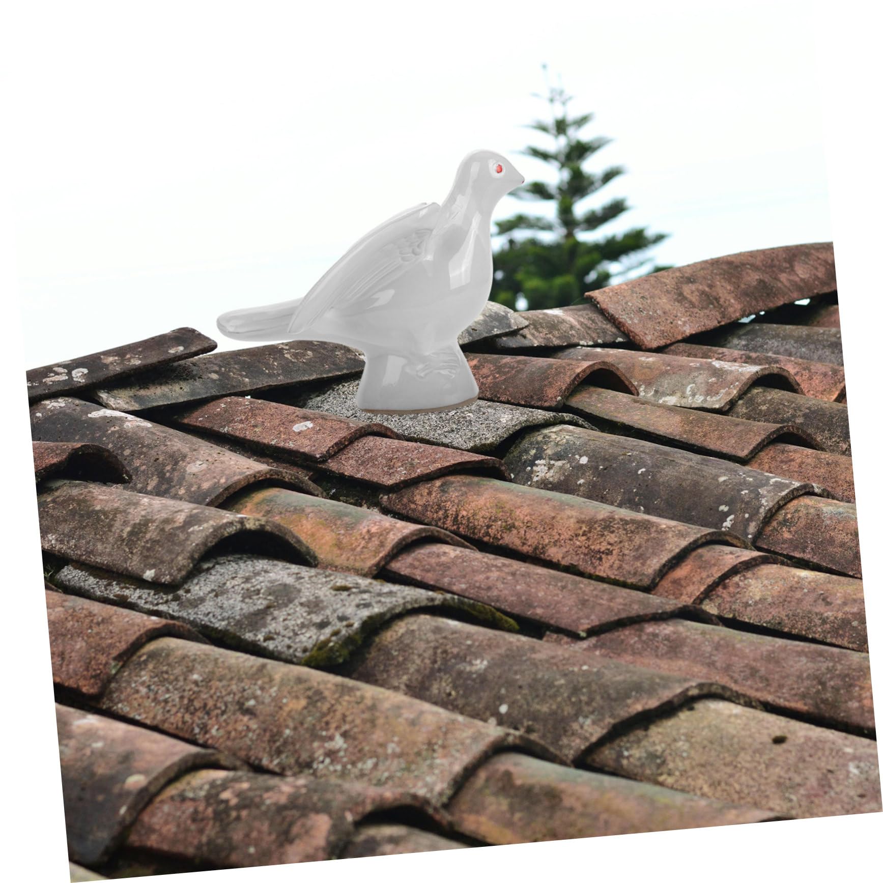 Amazon.com: JECOMPRIS White Porcelain Pigeon Statue Antique
