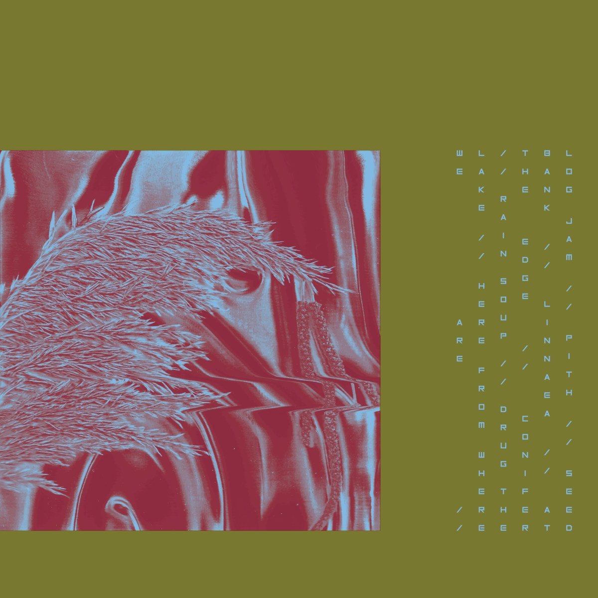 Here From Where We Are [VINYL]