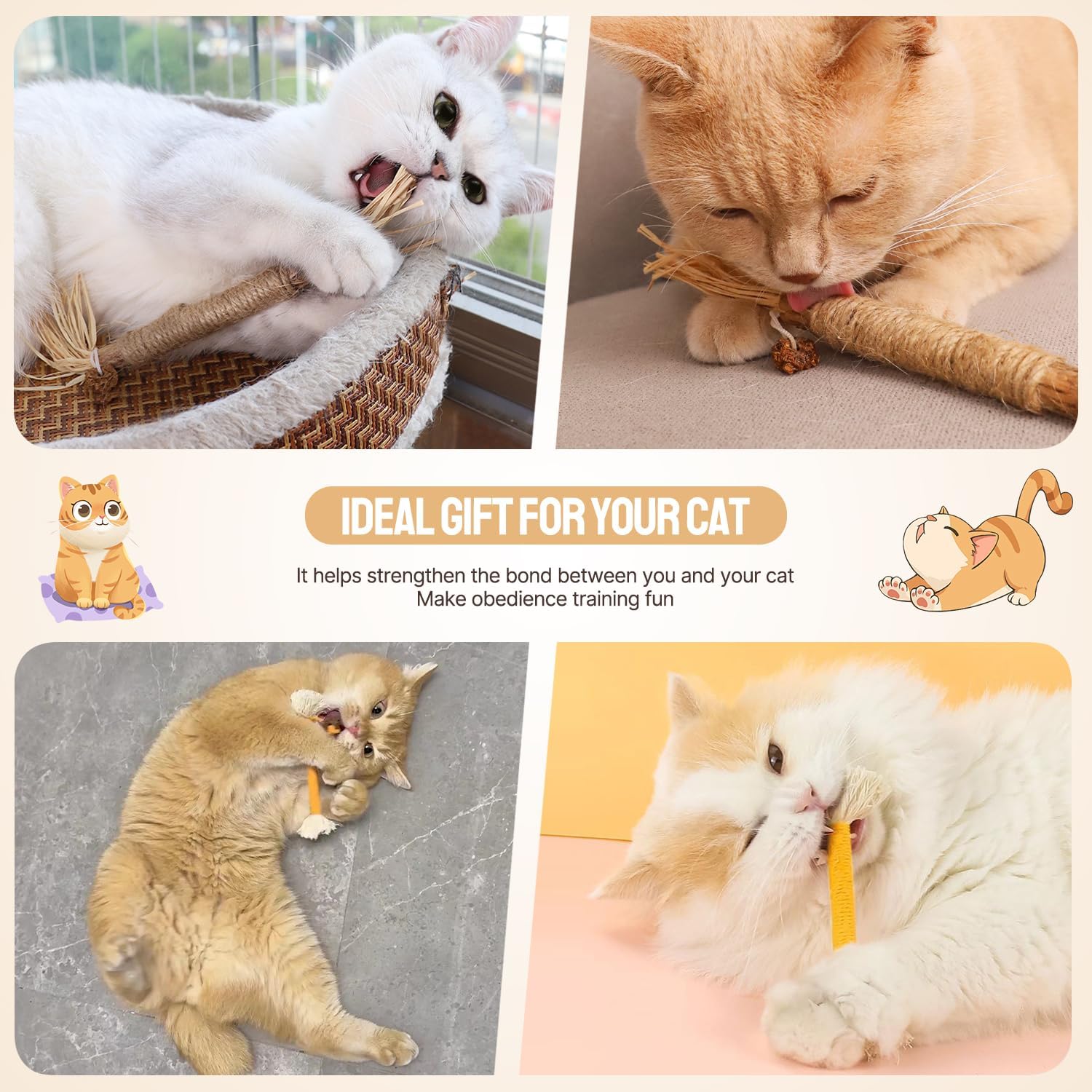 SUOXU Catnip Toy Silvervine Chew Sticks,Interactive Cat Toy for Indoor Cats, Natural Cat Kitten Teething Chew Toy, Suitable For Teeth Cleaning and Stress Release Catnip Toy Chewing Rope 7 711f3ClDnEL. AC SL1500