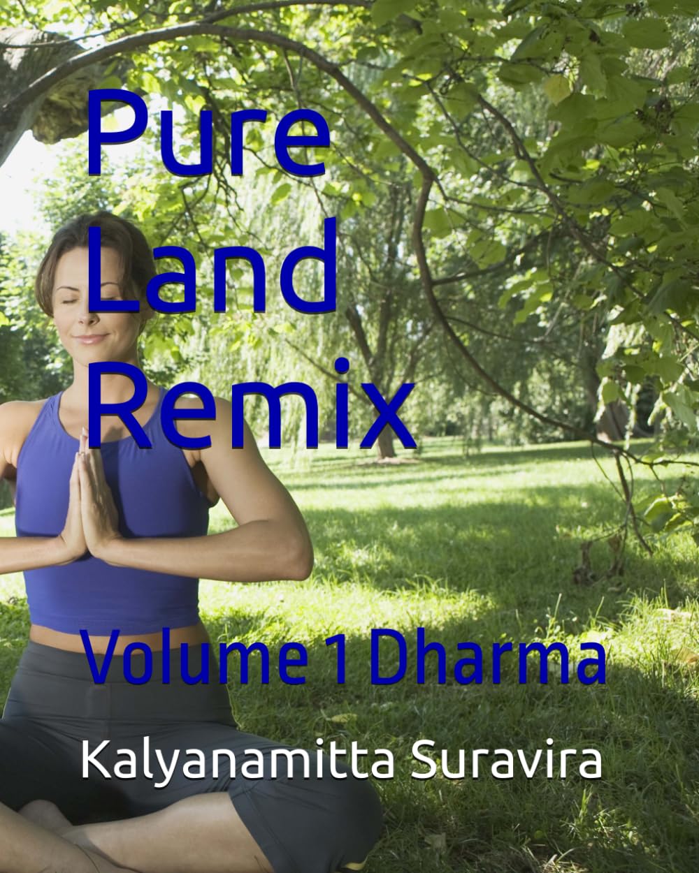 Pure Land Remix: Volume 1 Dharma