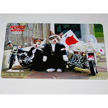 Amazon.co.jp: なめ猫 ブロマイド 2枚なめんなよ猫 なめねこ