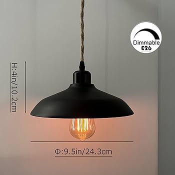 Amazon.co.jp : Venus 勾配天井・傾斜天井に コンセント式 ペンダント