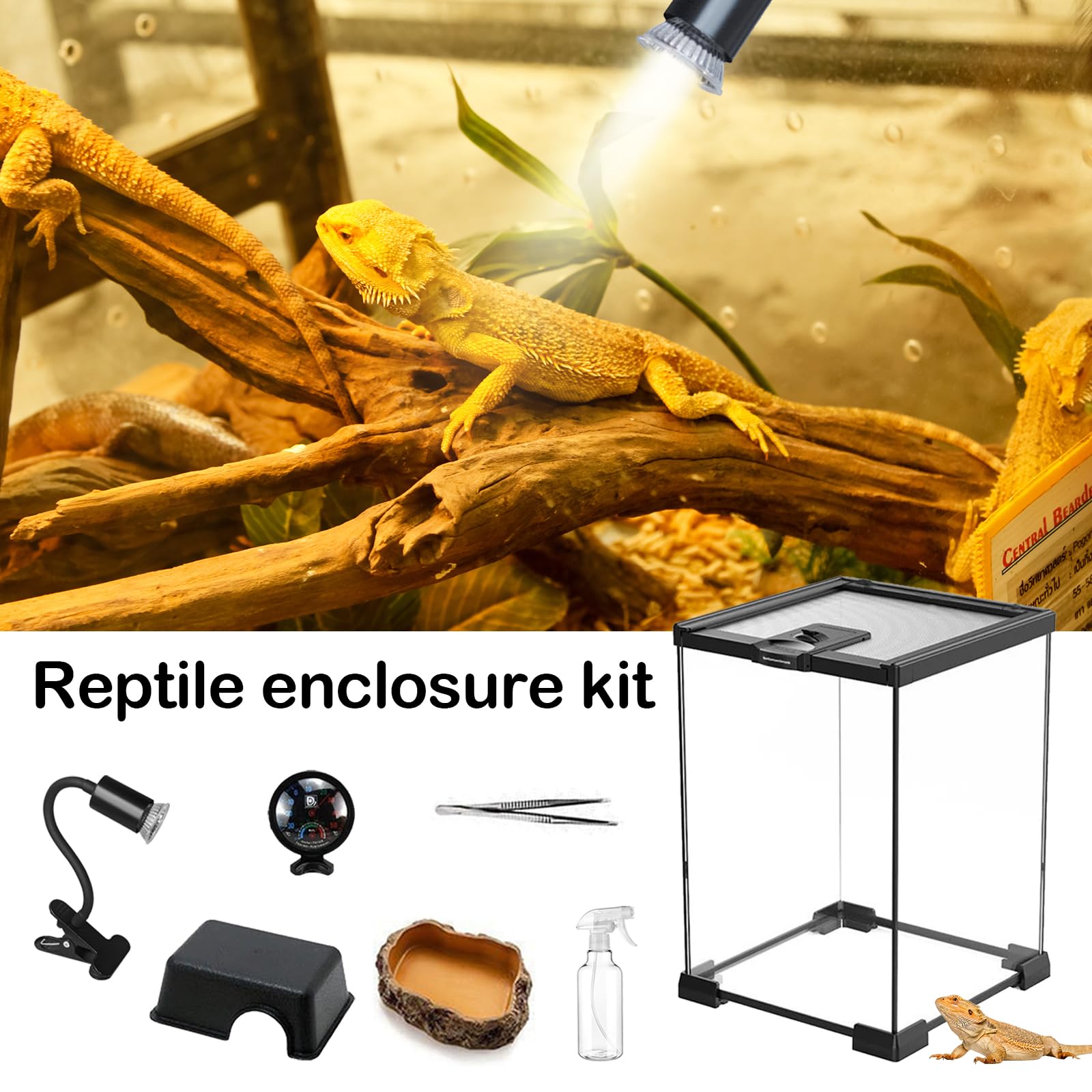 Set Terrario, Terrario per Rettili in Vetro 20 x 20 x 30 cm con Lampada per Rettili Termometro Nascondiglio con Motivo di Pietra Ciotola per il Cibo Pinzette e Piccolo Annaffiatoio per Rettili