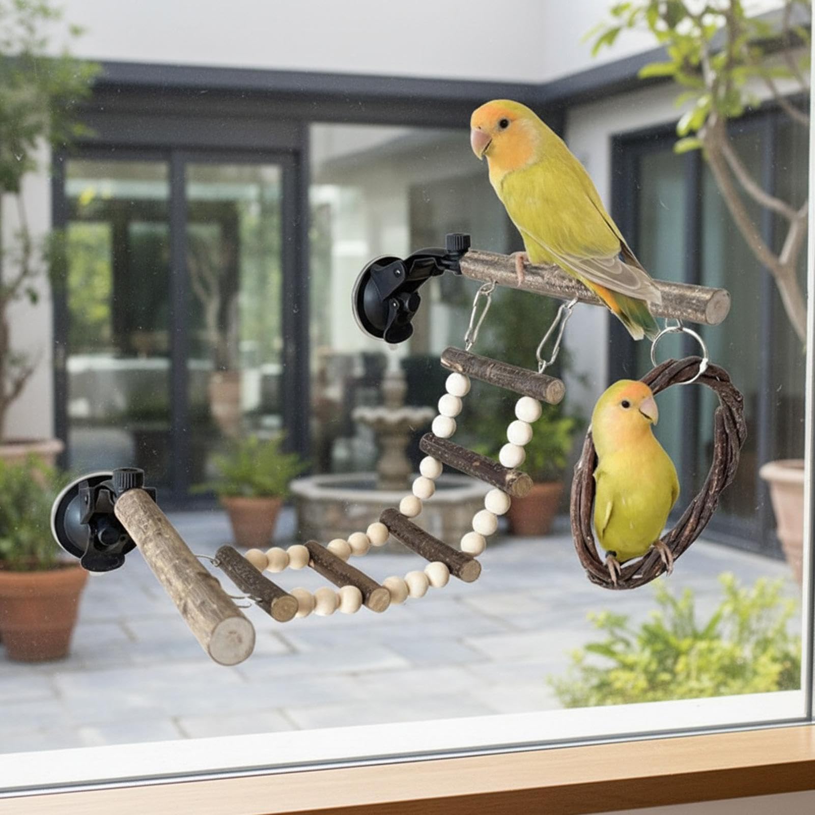 Perchoir à Oiseaux pour fenêtre – Support d'entraînement à Ventouse réglable en Bois avec balançoire et échelle | Support à Ventouse Oiseaux, pour l'exercice, l'escalade, Le Jeu interactif, Jouet