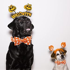 Lionheart glory Halloween Dog Collars, Bowtie Dog Collar Heavy Duty Adjustable Fall Dog Collar for Medium Dogs Collar Dog Bow Female or Male Dog Collars