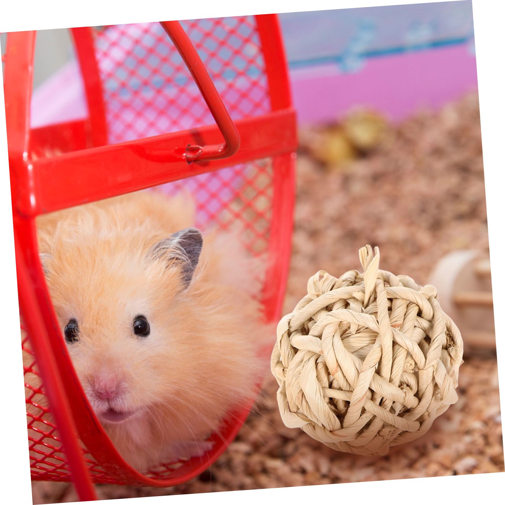 Housoutil 36pezzi Giocattoli Masticabili Per Conigli e Criceti Legno Giochi Per Piccoli Animali Di Giocattoli Per La Masticazione e Divertimento