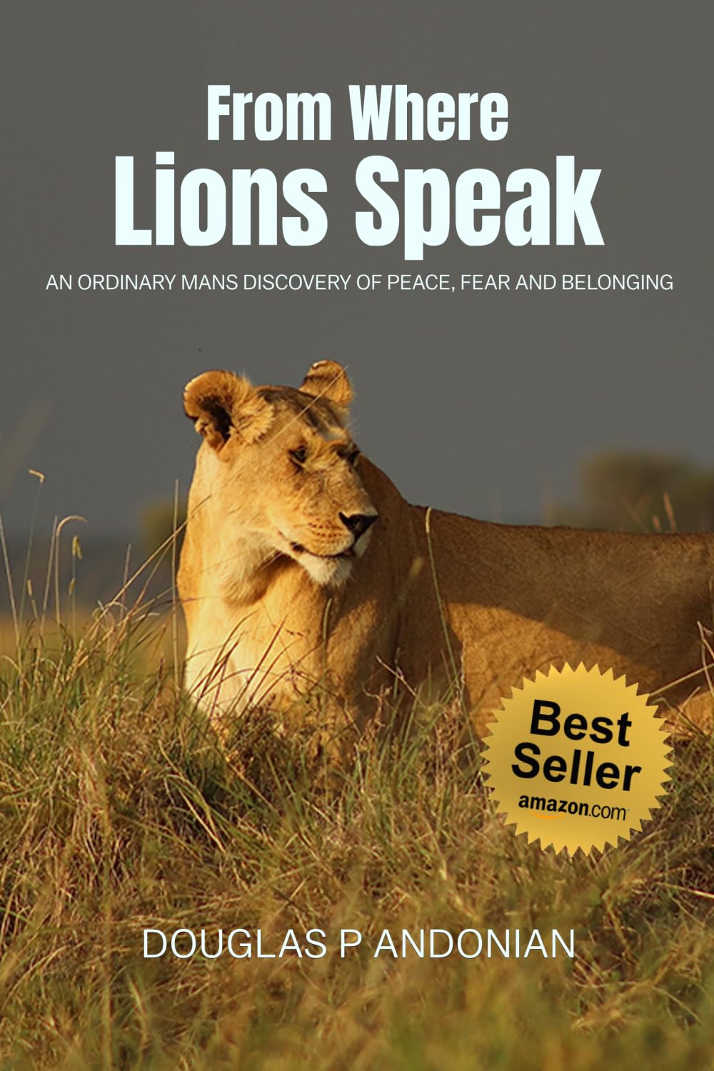 From Where Lions Speak: An Ordinary Mans Discovery Of Peace, Fear And Belonging