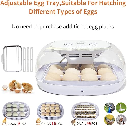 Miniatura 2 de ayakol Incubadora de huevos científicos 1635, con control de temperatura, adición automática de agua, vela de huevos, volteador automático de