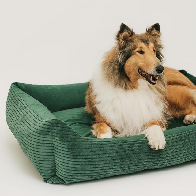 Foto 7 de 7 de 4L Textil Otto Acogedora Cama para Perro Funda Desenfundable y Lavable Cesta para Perro Cojín para Perro…