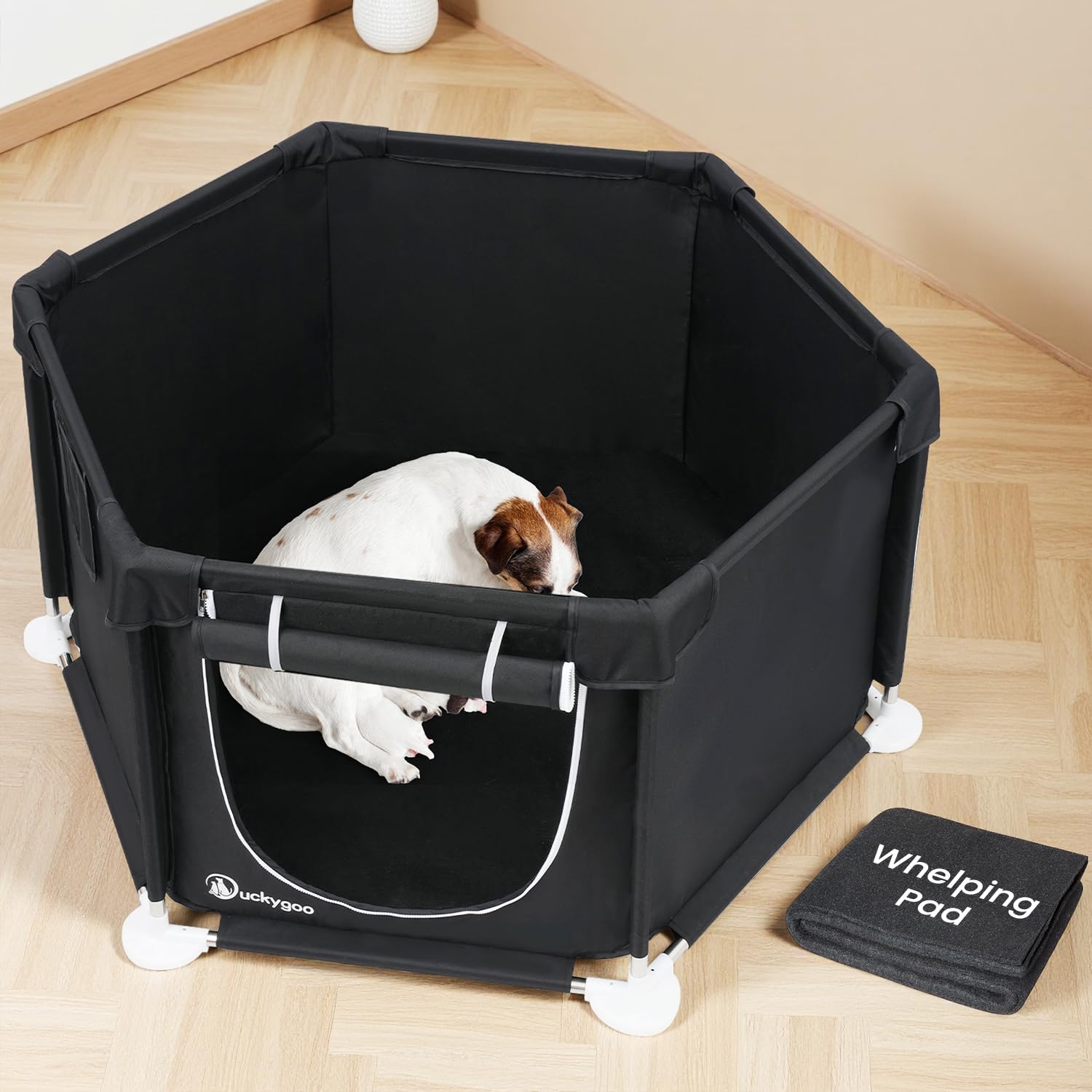 Box per cani – 61 cm di lunghezza x 61 cm di larghezza x 63 cm di altezza, recinto da gioco per cuccioli, scatola per il parto per animali domestici, in tessuto Oxford 600D con cuscinetto